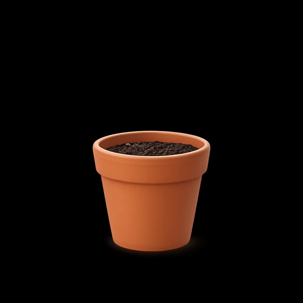 A sunflower at growth stage 1 of ten.